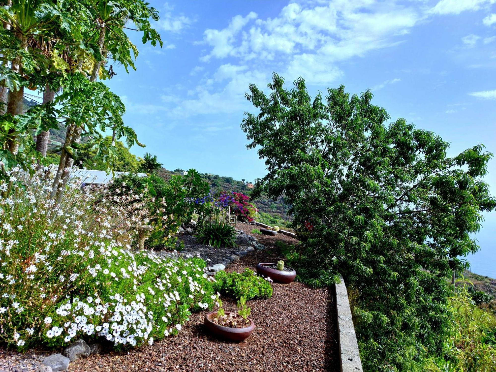 Eloina Villa Barlovento Exteriör bild