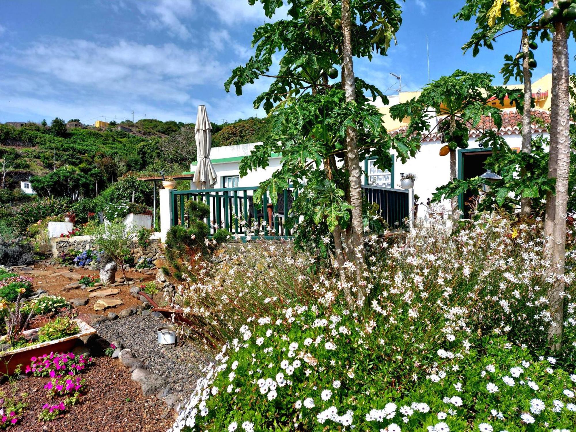 Eloina Villa Barlovento Exteriör bild